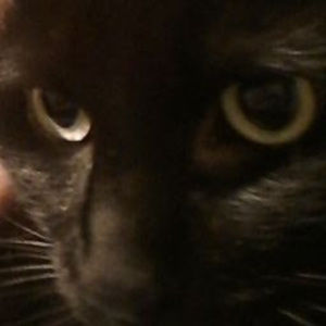 Meet your Posher, Gabriel